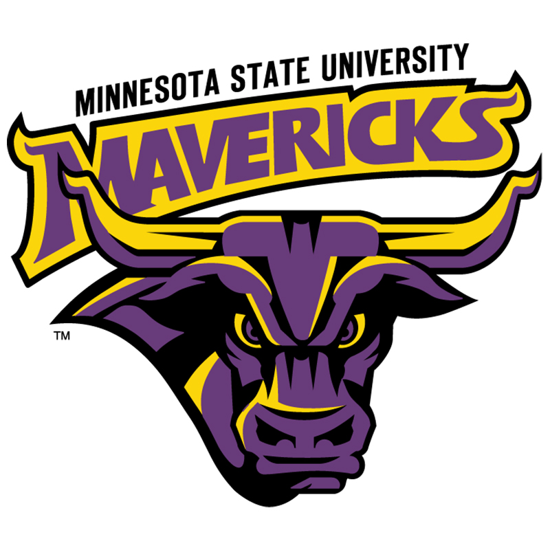 Minnesota State Mavericks iron ons